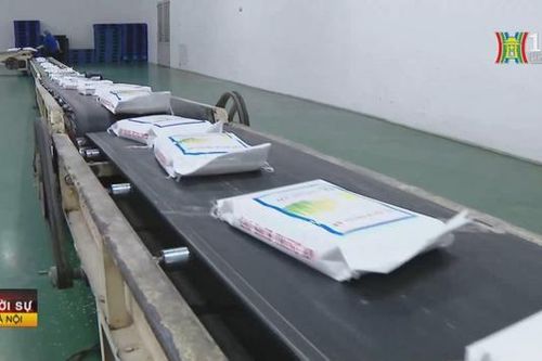 Việt Nam trúng thầu 300.000 tấn gạo xuất sang Indonesia