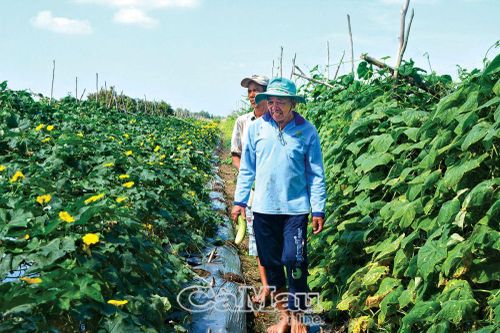 Tận dụng thời cơ để bứt phá