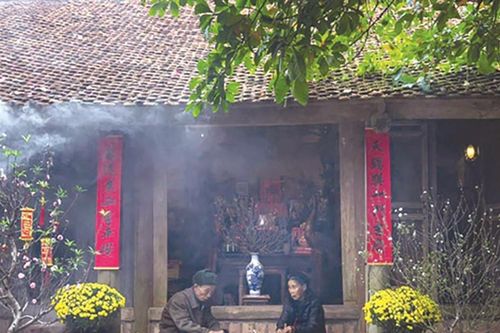 Háo hức chờ bong bóng lợn đụng