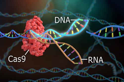 CRISPR mở ra cánh cửa giúp nhân loại kiểm soát các làn sóng virus