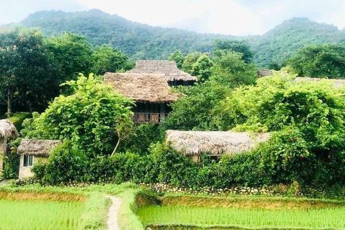 Trong veo mùa xuân quê nhà