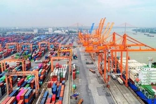Đề xuất quản lý phụ phí của hãng tàu nước ngoài tại Việt Nam