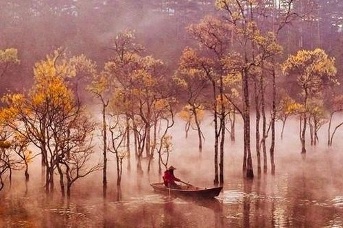 Suối Tía - vẻ đẹp tựa tiên cảnh nơi thượng nguồn hồ Tuyền Lâm