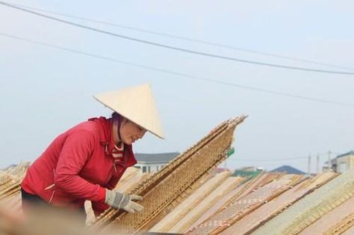 Làng bánh đa nem làm ngày lẫn đêm dịp cận Tết
