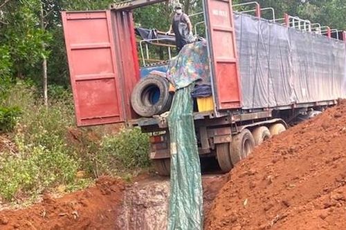 Tin mới vụ vận chuyển 5,5 tấn cá tầm trái phép qua Cửa khẩu Quốc tế Bờ Y