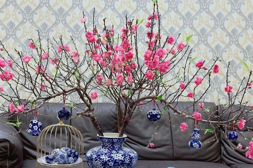Cách chọn và cắm cành đào huyền nở đẹp đúng mùng 1 Tết của 8X đất mỏ