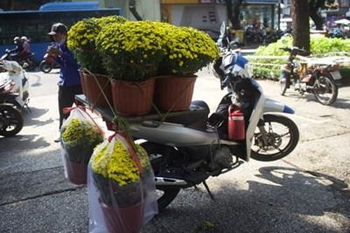 Cây cảnh, hoa Tết tấp nập về phố, shipper chạy giao hàng không kịp nghỉ