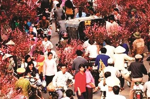 Nhịp phố xuân hoa