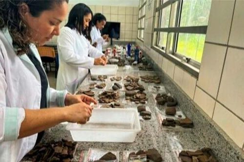 Xây chung cư, phát hiện 'kho báu khủng khiếp' 100.000 món