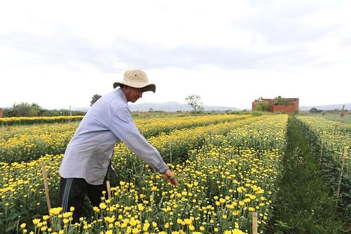 Sắc xuân nơi 'rốn lũ'