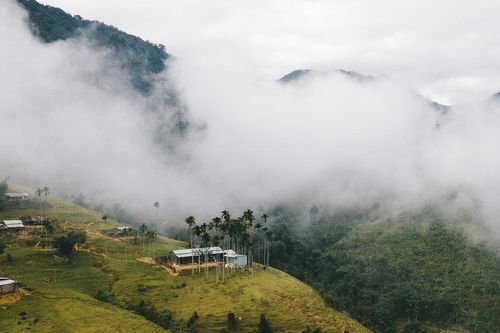 Thơ Tạ Văn Sỹ: Đêm Tu Mơ Rông