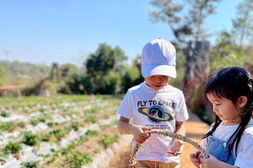 Thích thú với trải nghiệm vườn dâu tây
