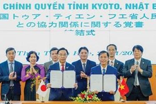 Quan tâm mạnh mẽ để thúc đẩy phát triển địa phương