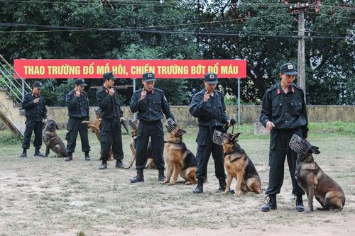 Nơi huấn luyện những 'chiến binh bốn chân'