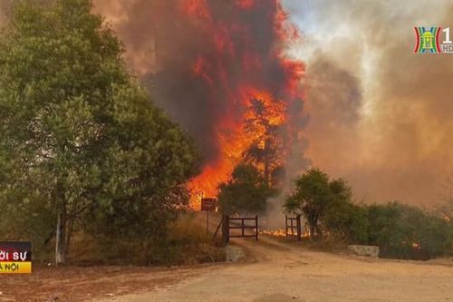 Cháy rừng kéo dài, bao phủ nhiều vùng miền Trung Chile