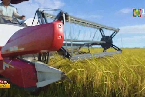 Thay đổi quy định dư lượng thuốc bảo vệ thực vật
