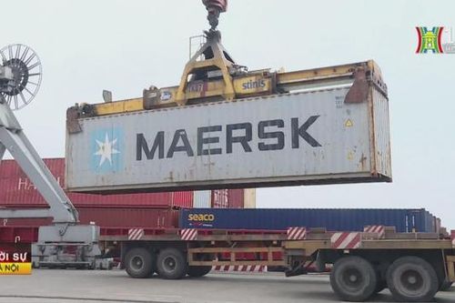 Cục Hàng hải cảnh báo cước vận tải biển tăng cao