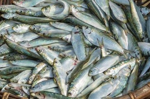 4 biện pháp tự nhiên giúp giảm chứng viêm xương khớp