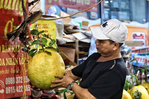 Bòng Kỳ Đà tiền triệu hút khách dịp cận tết