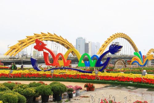 Cận cảnh đường hoa Xuân Đà Nẵng sắp mở cửa