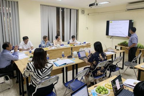 Lai tạo giống ngô đường mới bằng đột biến gen