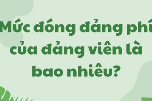 Mức đóng đảng phí của đảng viên mới nhất 2024