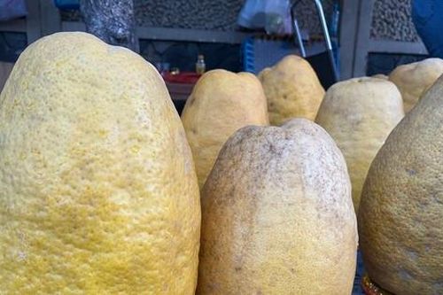 Hơn nửa triệu đồng một quả bưởi 'siêu to, khổng lồ' ở TPHCM