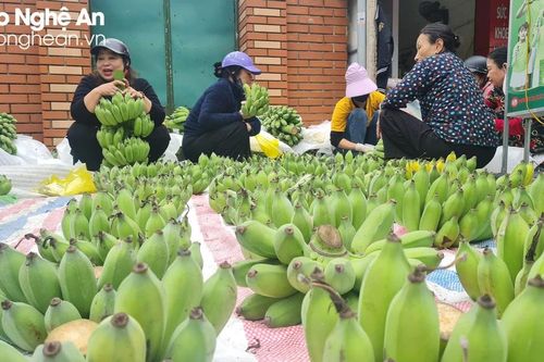 Chuối thắp hương ngày Tết đắt hàng, 300 ngàn đồng/nải