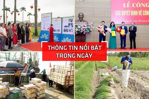 Nghệ An: Thông tin nổi bật ngày 5/2