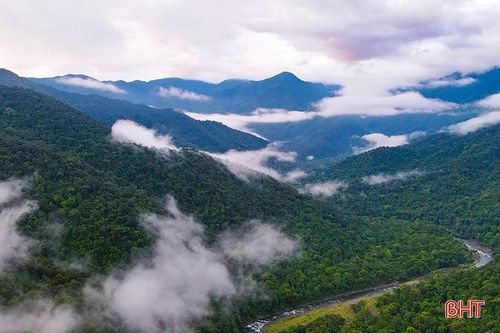 Vườn Quốc gia Vũ Quang - 'ngôi nhà' của động vật hoang dã