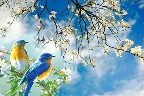 Lặng im trước biển tràn xuân