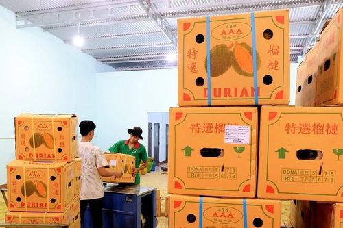 Đề nghị Trung Quốc mở rộng nhập khẩu hàng hóa, nông thủy sản của Việt Nam