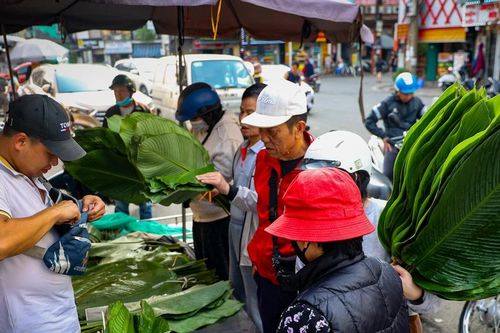Chợ lá dong lâu đời bậc nhất Thủ đô nhộn nhịp những ngày cận Tết Nguyên đán