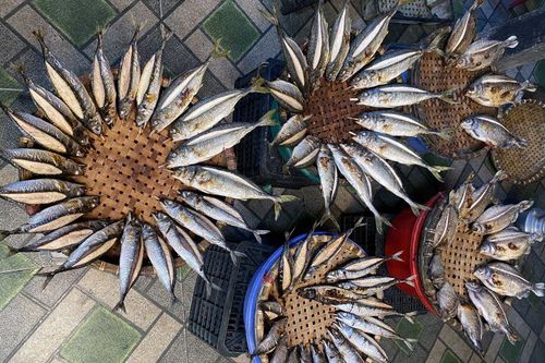 Làng nướng cá ở vùng biển Hà Tĩnh tất bật những ngày giáp Tết
