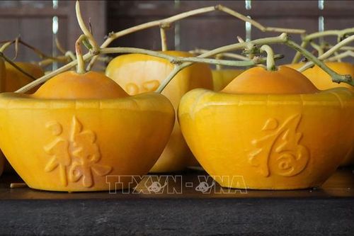 Độc đáo dưa hấu tạo hình trưng Tết giá tiền triệu