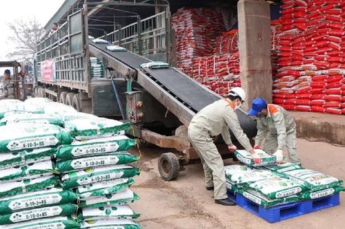 Tín hiệu tích cực cho ngành phân bón năm 2024