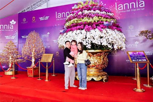 Chậu lan hồ điệp được bán với giá 3,8 tỉ ở Hà Nội: Cao 4m, gồm 9 tầng và phần chậu dát vàng 24K