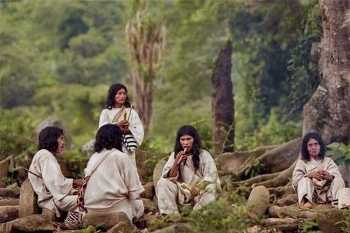 Bộ tộc sống trong rừng sâu, chỉ ăn chay, có tuổi thọ lên đến 100 tuổi