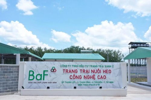 Nông nghiệp BAF lỗ gần 30 tỷ đồng trong quý 4/2023, dàn lãnh đạo cấp cao tiếp tục biến động