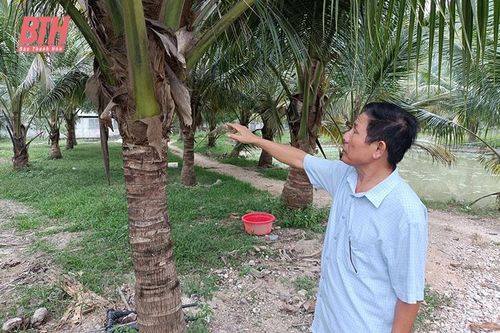 Cựu chiến binh 'biến' vùng đất trũng thành trang trại tiền tỷ