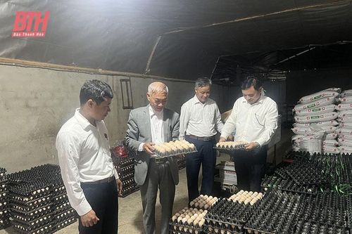 Hỗ trợ người dân phát triển mô hình sản xuất hiệu quả