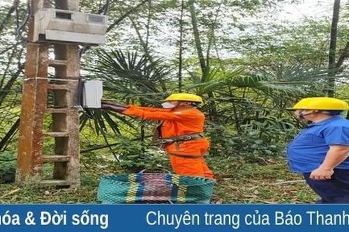 Điện lực Khu vực Như Thanh - Như Xuân đảm bảo cấp điện an toàn, ổn định trong dịp tết Nguyên đán Giáp Thìn 2024