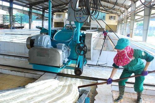 Công ty cao su Chư Păh chủ động ứng phó với khó khăn của thị trường