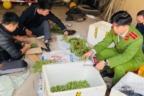 Mua bán gần 50 kg cành và quả thuốc phiện tươi, một người phụ nữ bị khởi tố