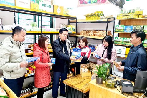 Kết nối tiêu thụ sản phẩm hợp tác xã dịp Tết