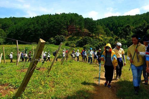 Du lịch Tuy Phong 'trỗi dậy' mạnh mẽ