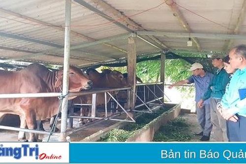 Phát triển các mô hình kinh tế hiệu quả trong nông nghiệp, nông thôn ở Gio Linh