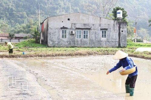 Định Hóa: Đảm bảo nước tưới cho vụ xuân