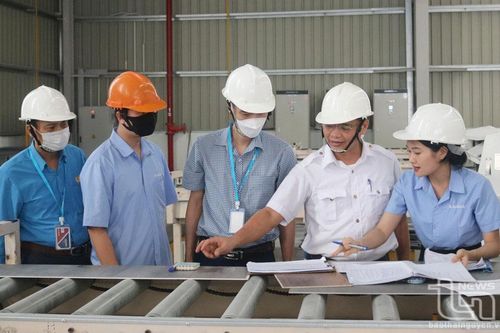 Xuân về trọn vẹn niềm vui