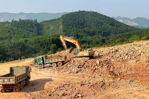 Chuyển đổi trên 19ha rừng trồng để thực hiện 3 dự án